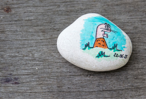 Belle transition : un rat-taupe sur un caillou en guise de souvenir