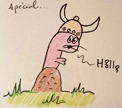 Un rat-taupe viking pour Gudrun (juin 2015)